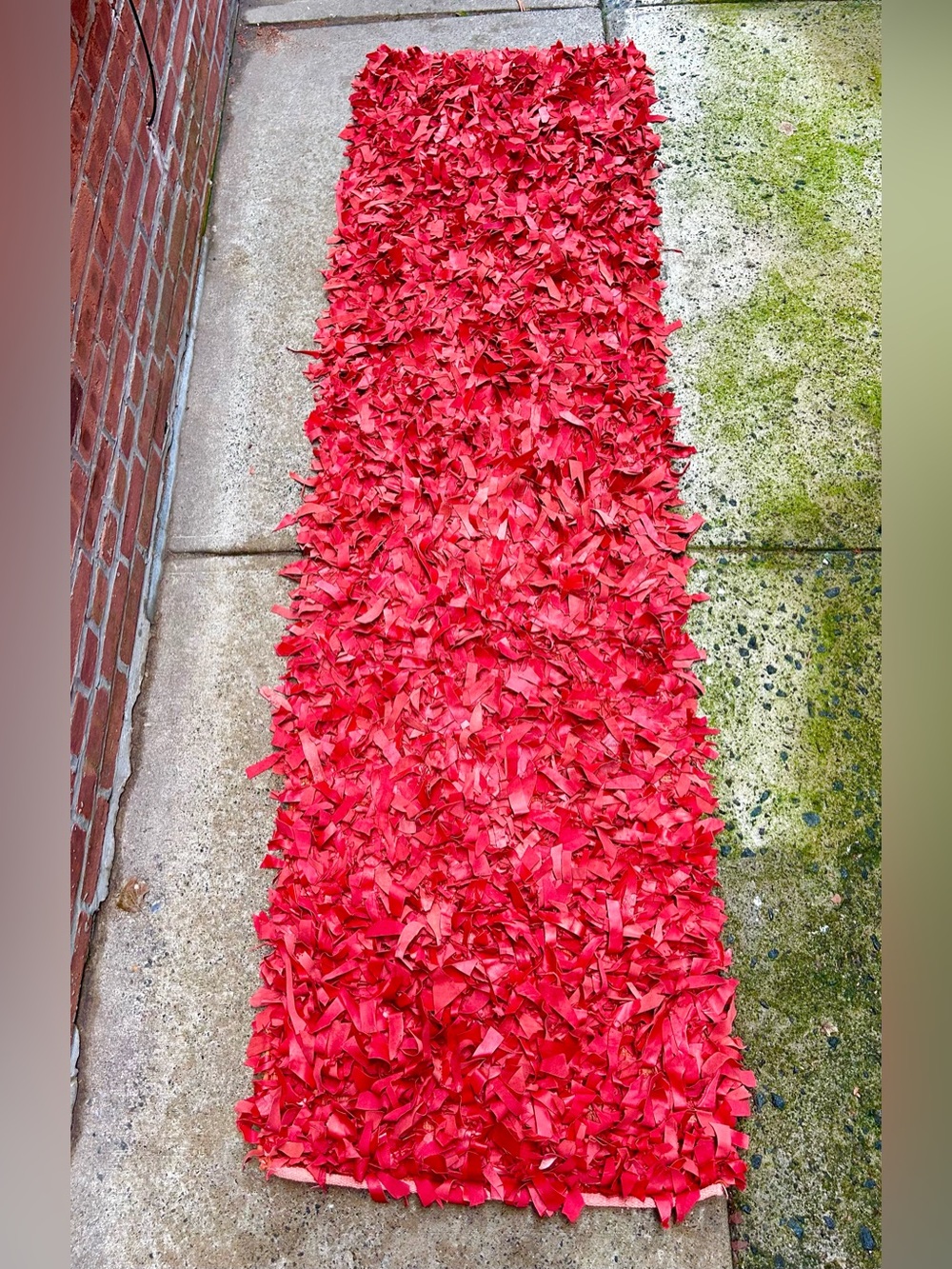 SAFAVIEH Red Shag Runner Rug/Tapestry
